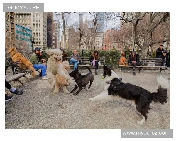 镜头捕捉:太阳赛场小动作引发热议 镜头捕捉:太阳赛场小动作引发热议