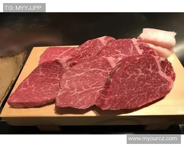 你不知道的公牛：十大冷知识大揭秘