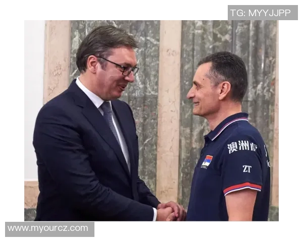 欧洲杯赛事影响力及赞助商合作分析